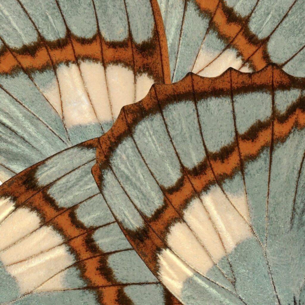 09331c3dc145f865dfdaa99efd191be3