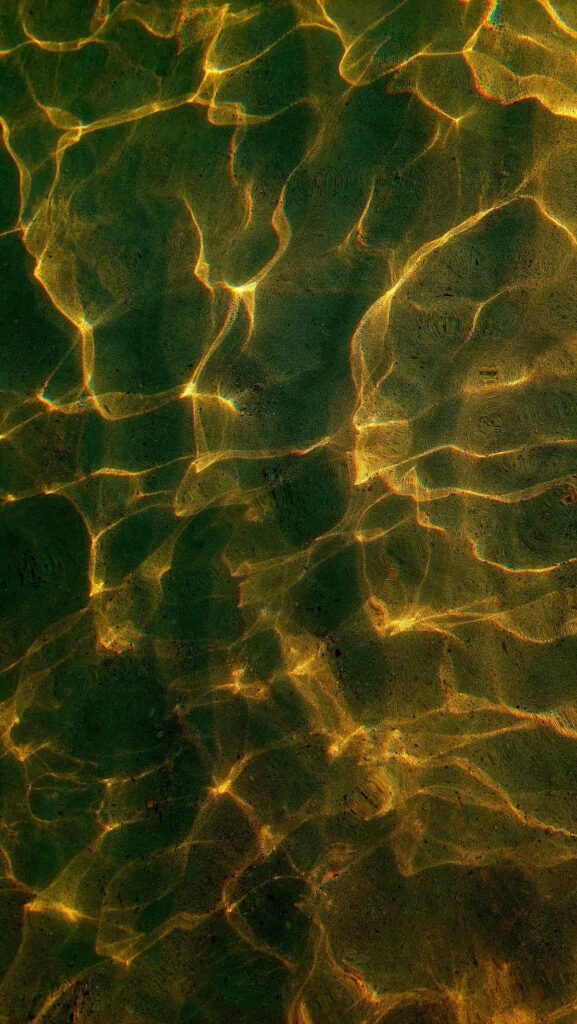 306c12c0b24734733bcc291174af9f36