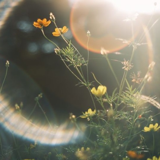 9c6810a721d82e3a30636affc1bcb704 1