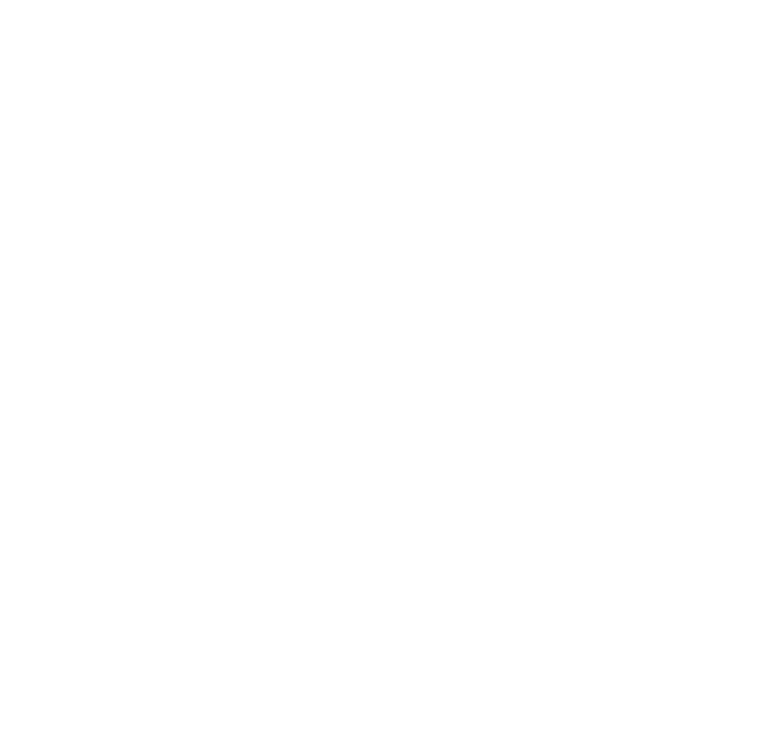 mandala transparent all white
